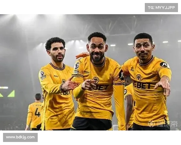 英超狼队出价3500万欧元引进弗拉门戈新星若昂戈梅斯